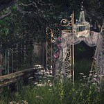 Exploring Winter Moon Photo 2