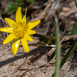 Here comes the sun...