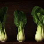 Pak Choi