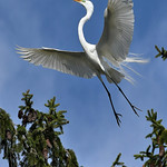 "I'm walkin' on sunshine, whoa..."