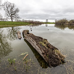 Like a Bridge over Troubled Water...