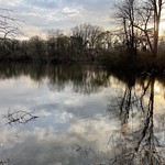 Essex County Cherry Blossom Festival sunset in Branch Book Park Newark New Jersey USA 2021