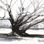 Broken Hill - Huonville - Home Creek