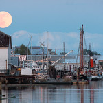 🐟 Cannery Moon 🌕 Richmond, BC