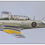 North American T6 Harvard (Texan)