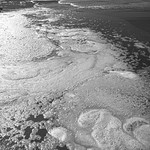 Point Reyes 10-20 #2