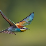 LR_IMG_2021_05_23_289484