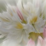 Nothing in focus / out of focus