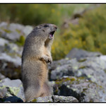 DSC_1952_DxO