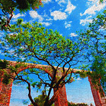 AQUEDUCT WITH JACARANDAS AND TABACHINES.
