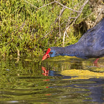 Espejito, espejito&hellip;