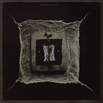 SCENES DE VIE│Scene With Dried Spanish Bluebells (11/52)---> EXPLORED on June 16th, 2021