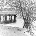 Springtime Melancholy