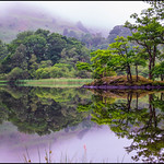Rydal Reflections