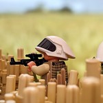 Telos IV | Into the Breach