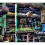 Un p'tit coin de verdure!