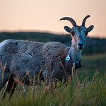 Number 46 (Explored)