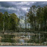 MAY 2021 _7326_NGM_9949-1-222