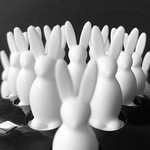 Big Bunch of Bunnies