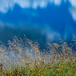 LE MASSIF DU CEZALLIER AU COEUR DE L' AUVERGNE !