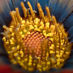 "No one can tell you what your heart should feel" - Dean Koontz