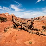 On the way to "The Wave"