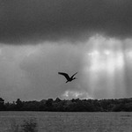 Los &uacute;ltimos rayos de luz