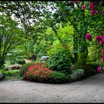 The garden at Chimney Cottage, Mount Wilson