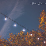 ~The light shines in the darkness, and the darkness has not overcome it.