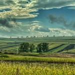 From the car window.