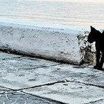 ... have love for the outcast