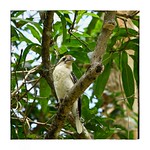 Is this my best side?