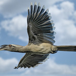 I can see the future!!!