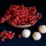 Viburnum berries - a favourite winter delicacy 😊