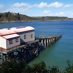 Tenby Pembs Wales-270921 (6)