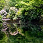 Still waters run deep