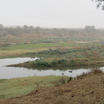 Early Morning Hiking in the Mist