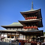 成田山新勝寺の本堂&国指定◎(重要文化財)三重塔 Narita-san Shinshio-ji Temple 💛 行く秋(Fall to go)-125