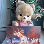 We wish you a Merry Christmas!