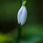 &bdquo;Minimalism for the Advanced&ldquo; 😎 (study, somehow 'sexy')