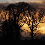 Treasure The Secrets