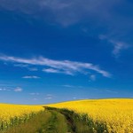 Слава Україні! Glory to Ukraine