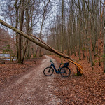 2022 Bike 180: Day 36, March 2