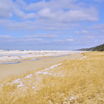 031199a- Wishing You A Golden Day, My Flickr Friend