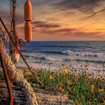 Spring-------I STAND WITH UKRAINE 🇺🇦!