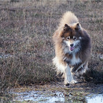 here she comes 11/52