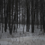 quiet winter morning