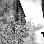 ⁛city.steam⁛