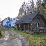 2885- VIVIR EN EL BOSQUE- SELVA NEGRA . FREIBURG - ALEMANIA