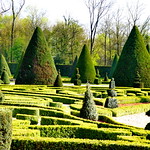 352 Paris - Mars 2022 - dans le Parc de Sceaux